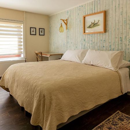 Abriga Bed And Breakfast Coyhaique Ngoại thất bức ảnh